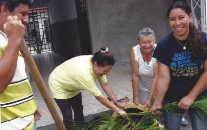 Huerta Escolar